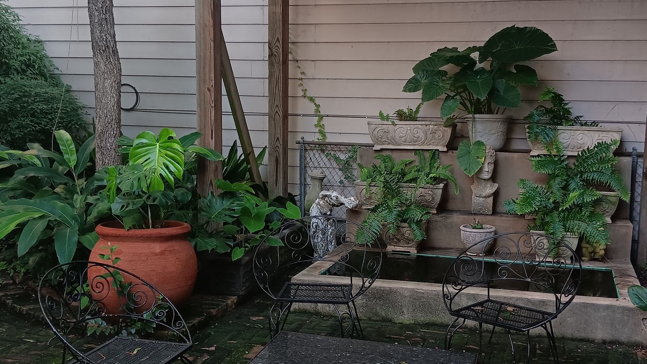 Photo of Outdoor in Neartown
