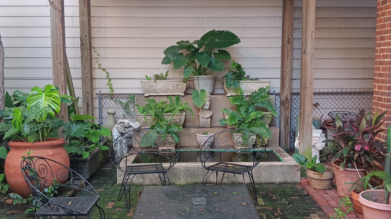 Photo of Outdoor in Neartown