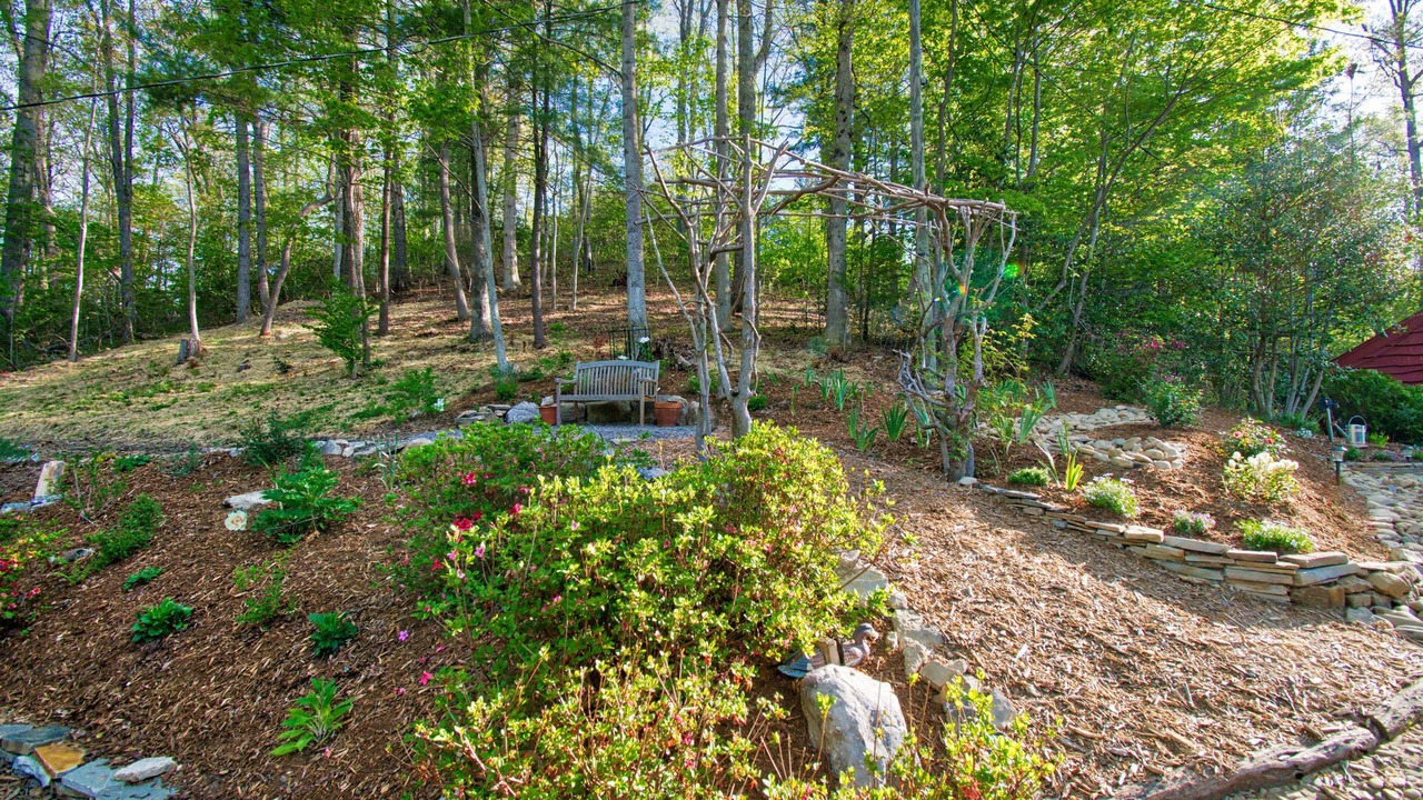 Photo of Outdoor in Laurel Park