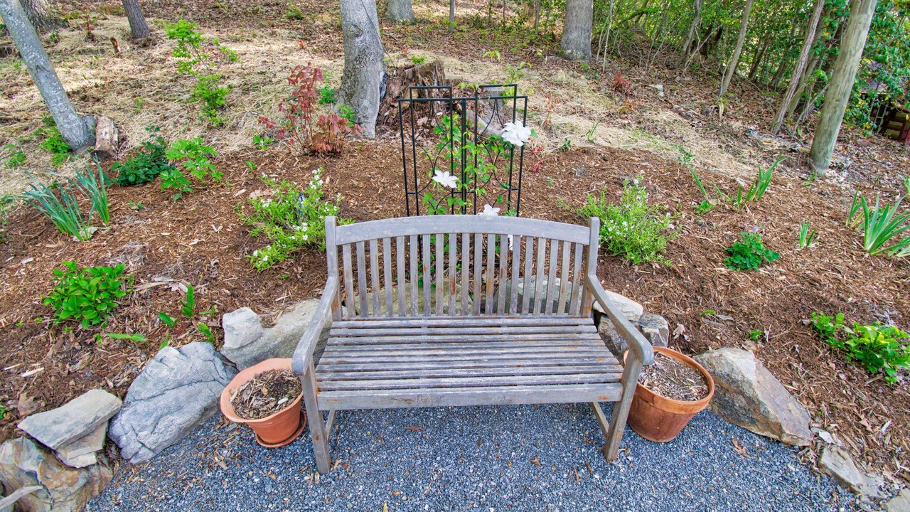 Photo of Outdoor in Laurel Park