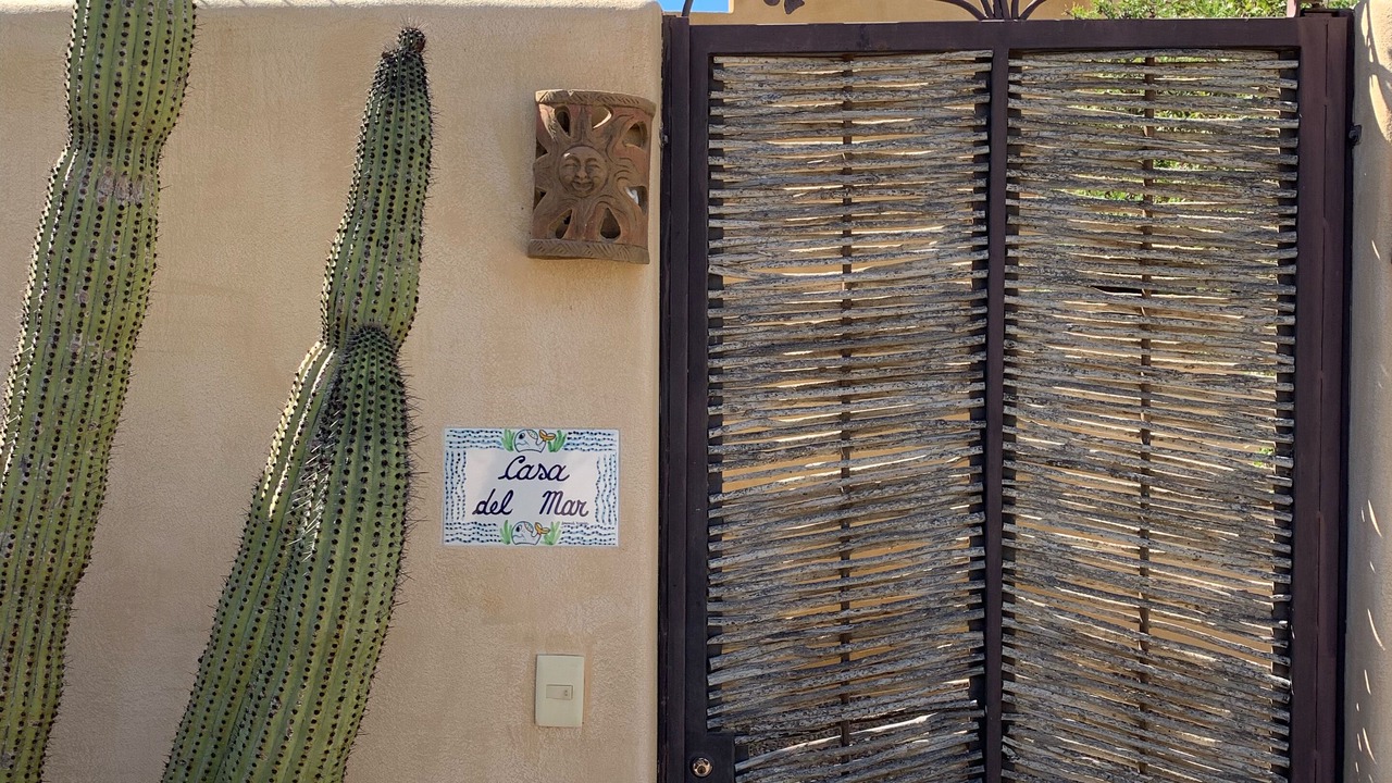 Photo of Outdoor in Todos Santos