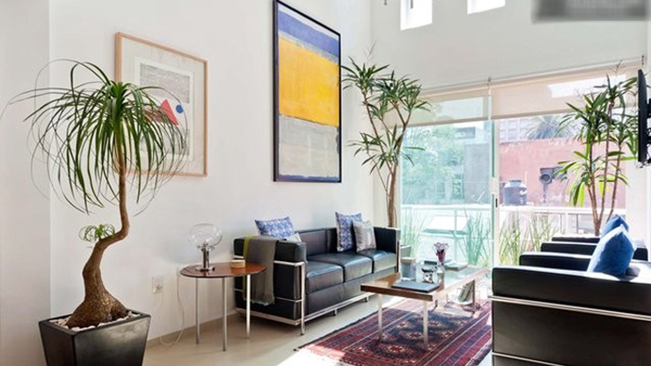Photo of Livingroom in Zona Rosa
