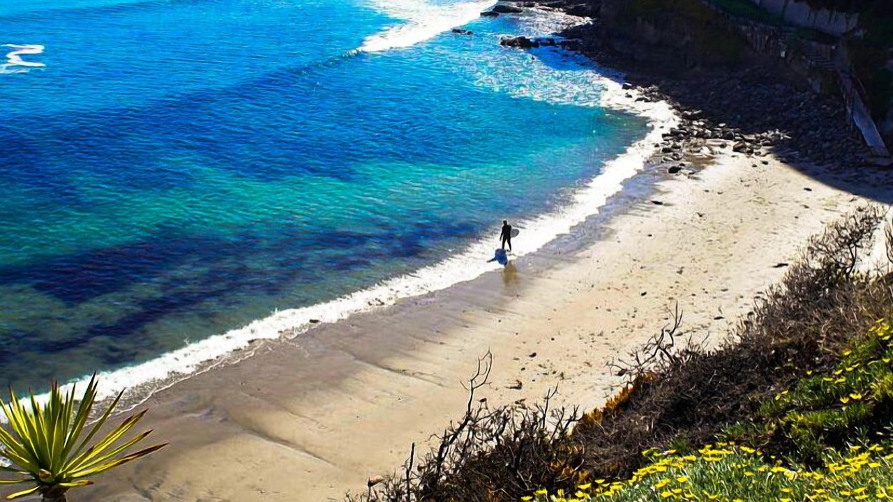 Photo of Others in Playas de Rosarito