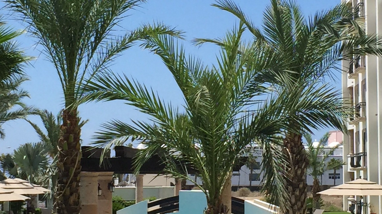 Photo of Outdoor in El Medano Ejidal