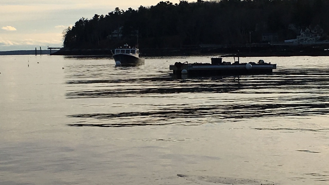 Photo of Others in Rockport