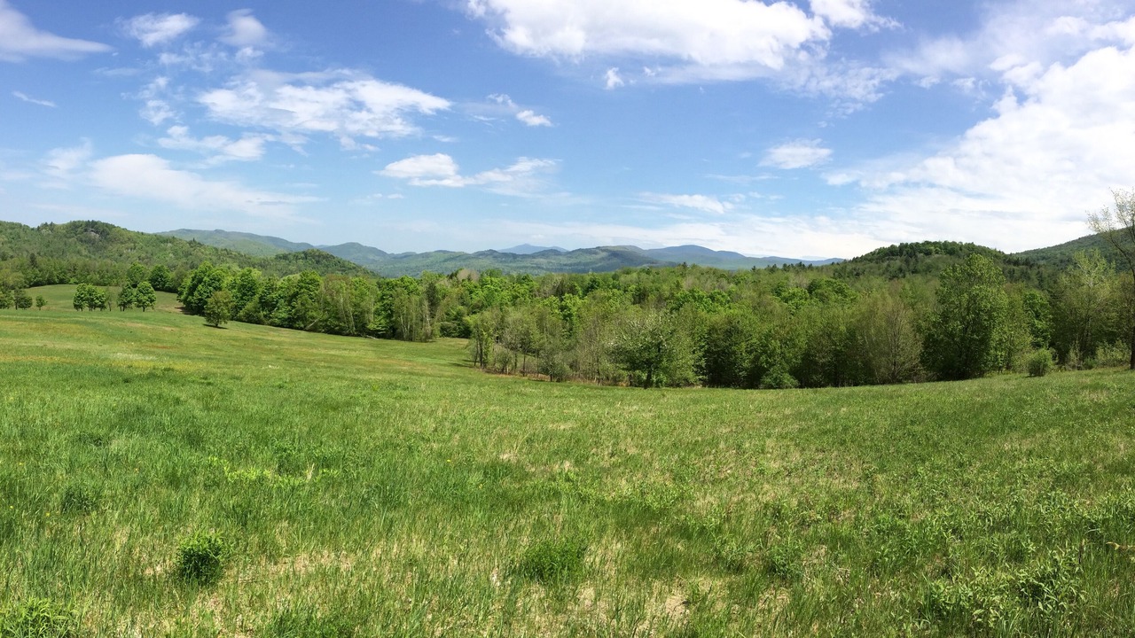 Photo of Outdoor in Richmond