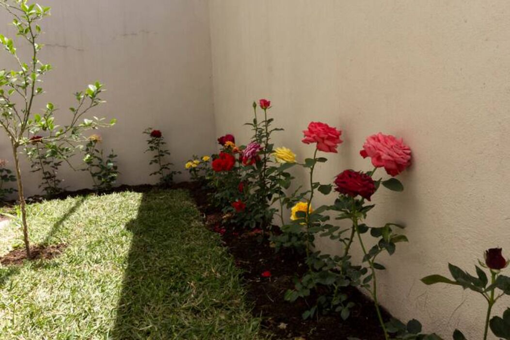 Photo of Outdoor in Queretaro
