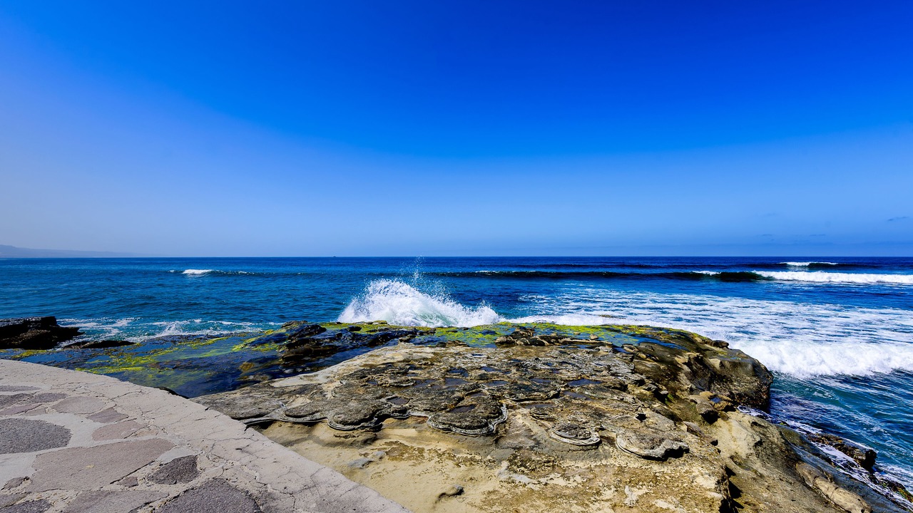 Photo of Others in Las Gaviotas