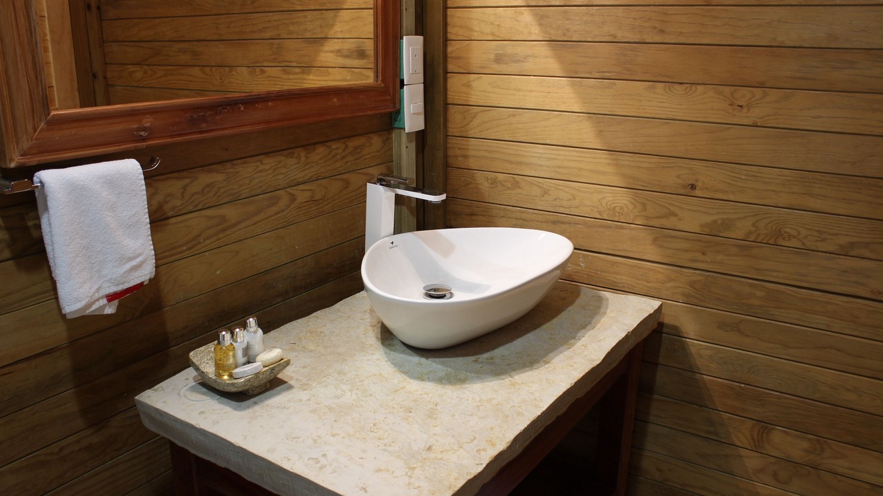 Photo of Bathroom in Palenque