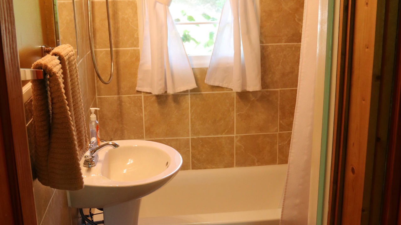 Photo of Bathroom in Candler