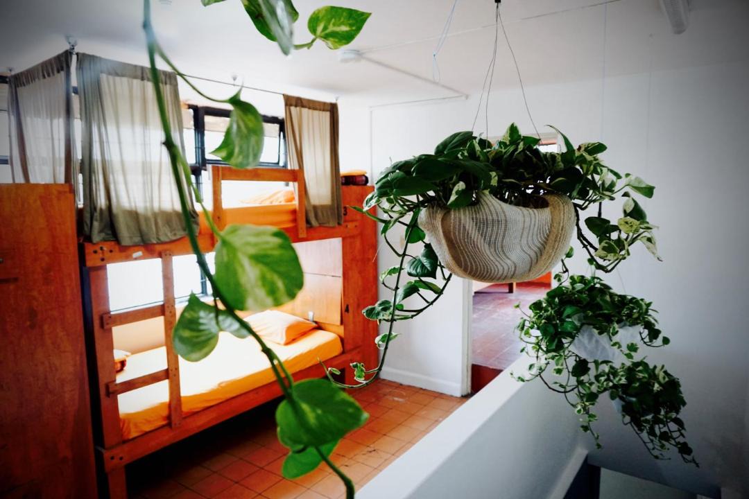 Photo of Livingroom in Lafayette