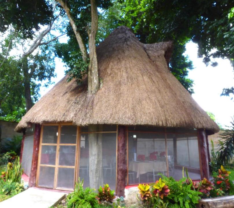 Photo of Others in Calakmul