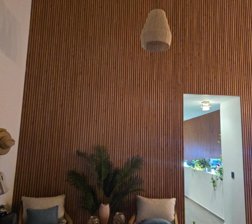 Photo of Livingroom in Jocotepec