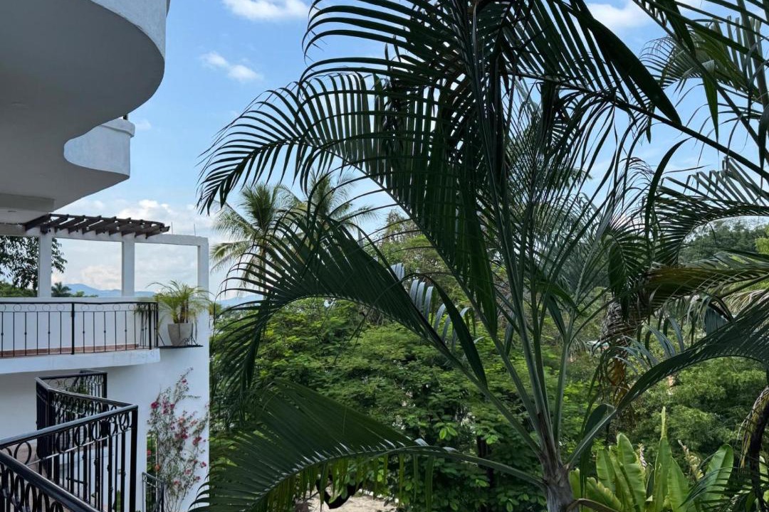 Photo of Patio Balcony in Tamasopo