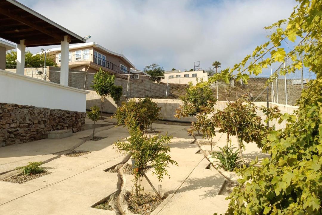 Photo of Others in Ensenada