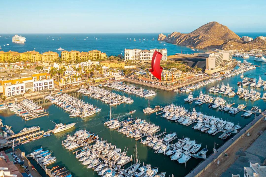 Photo of Others in Marina