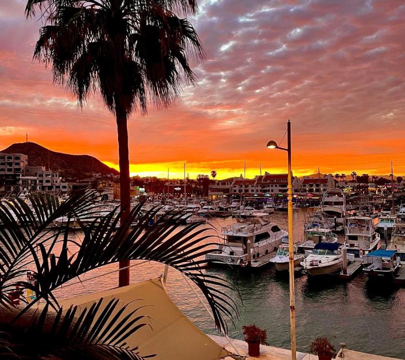 Photo of Others in Marina