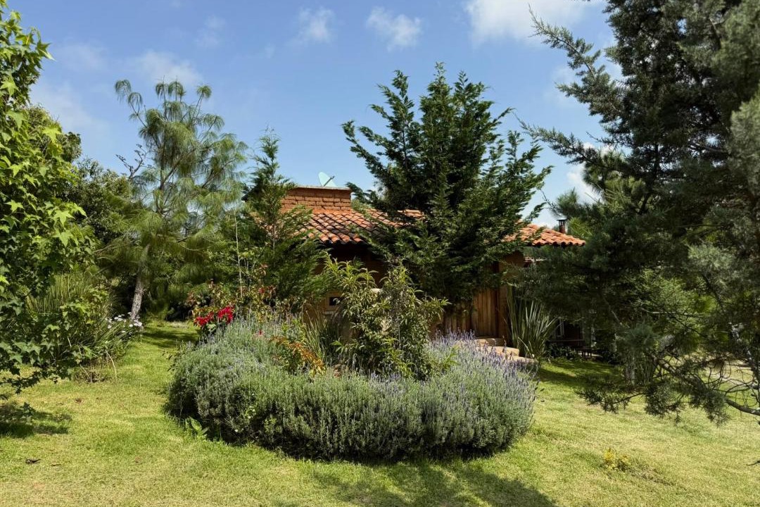 Photo of Others in Tapalpa