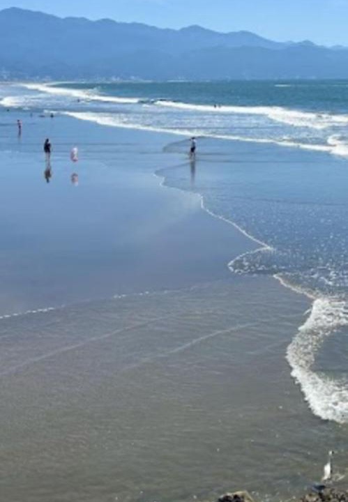 Photo of Others in Nuevo Vallarta