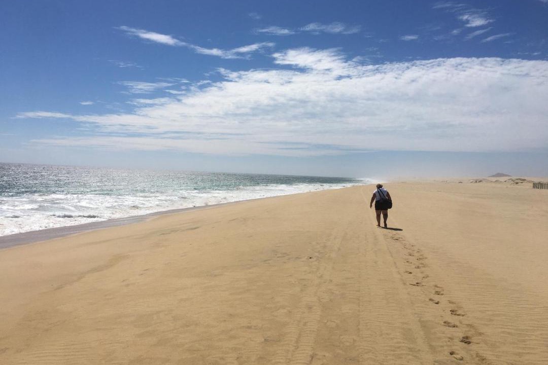 Photo of Others in Los Cabos