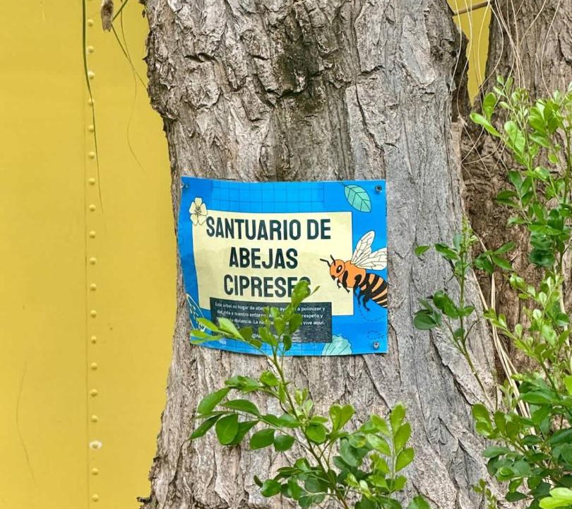 Photo of Others in Colonia Campestre