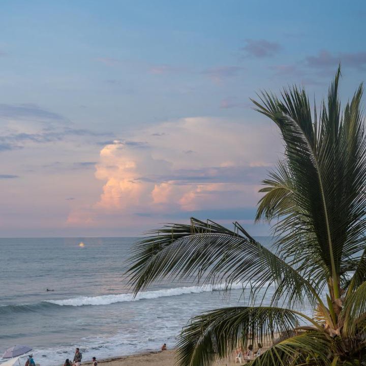 Photo of Others in Sayulita