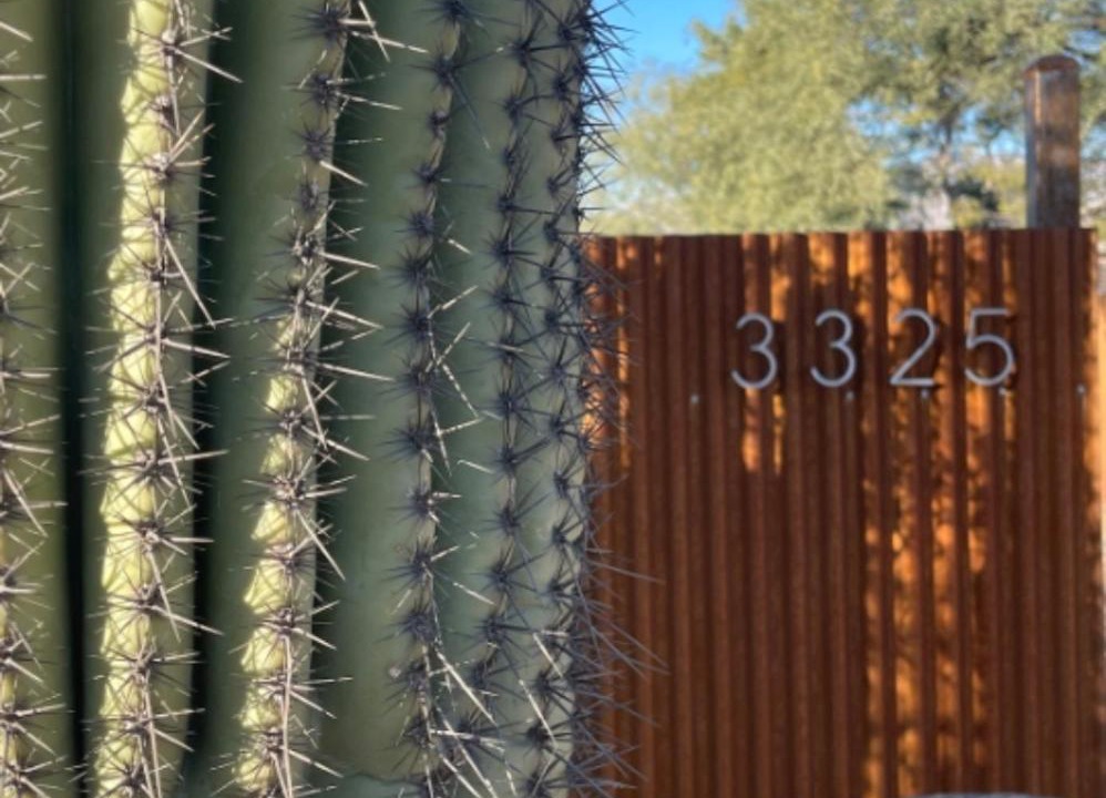 Photo of Others in Palo Verde