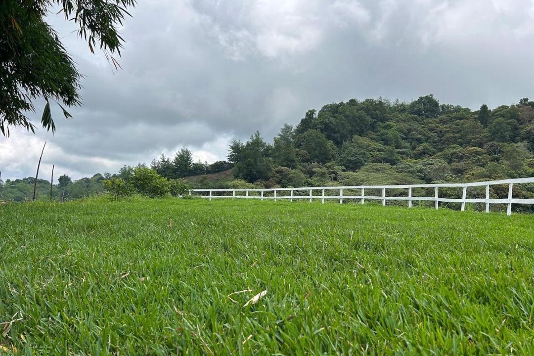 Photo of Others in Hueytamalco