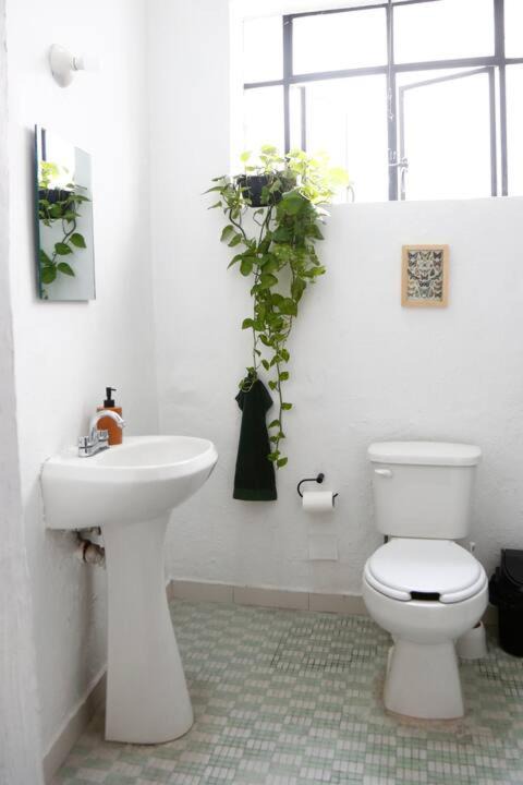Photo of Bathroom in Americana