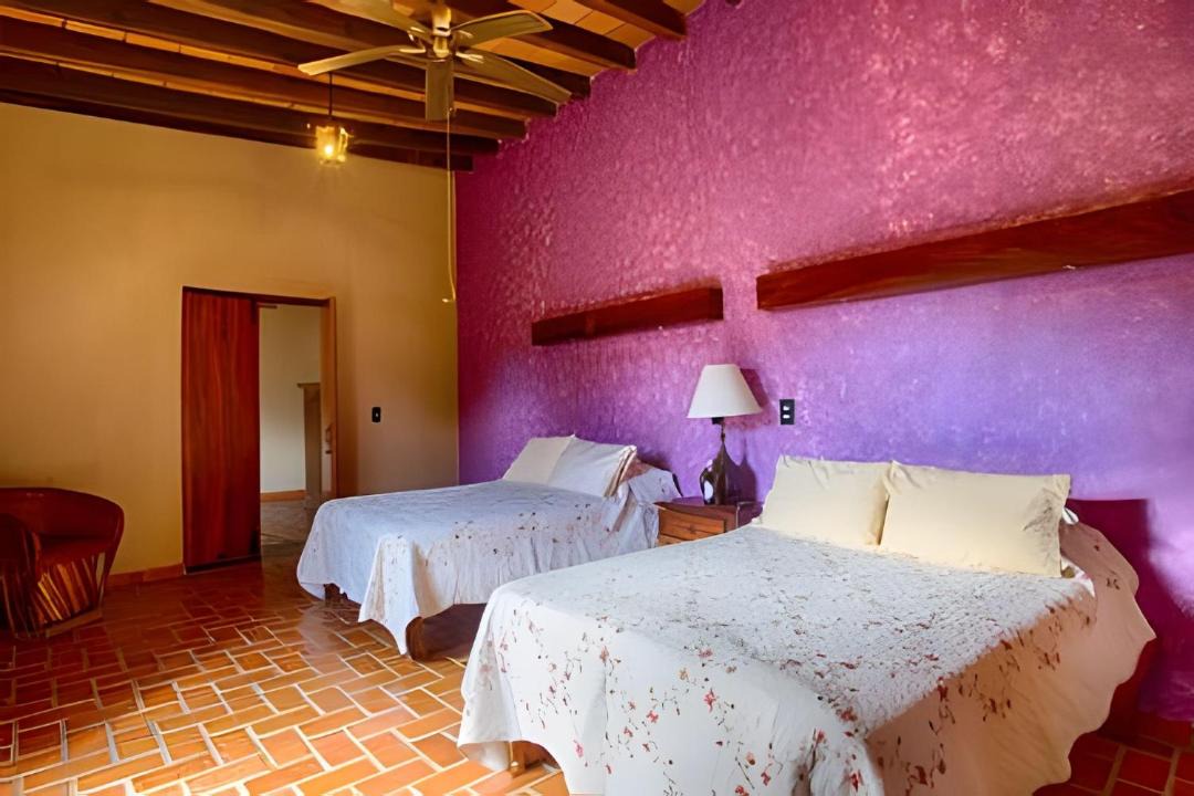 Photo of Bedroom in Mascota