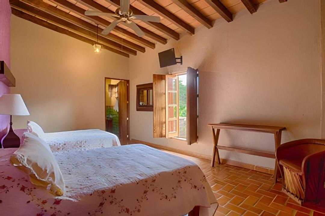 Photo of Bedroom in Mascota