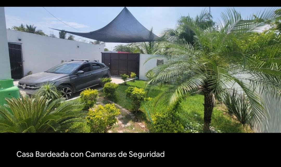 Photo of Others in Candelaria
