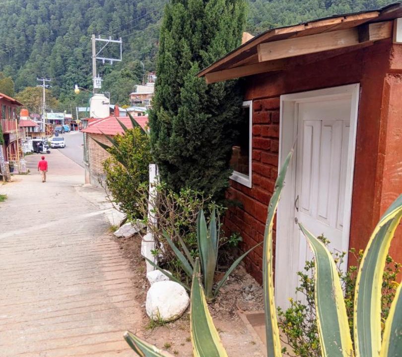 Photo of Others in San Jose del Pacifico