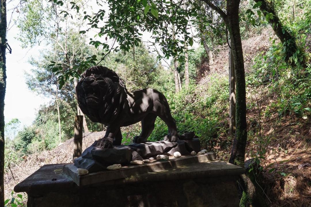 Photo of Others in Nogales