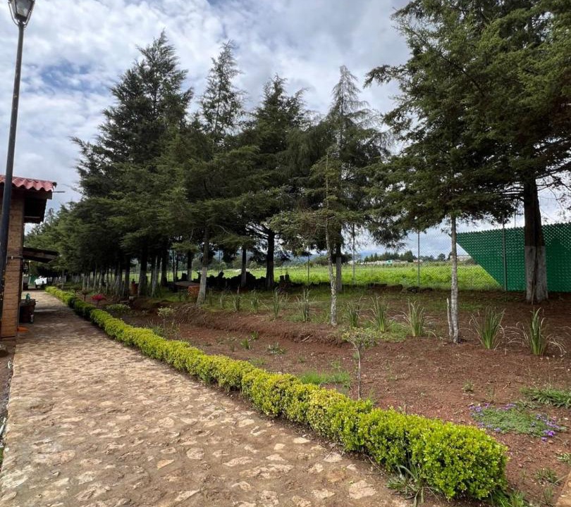 Photo of Others in Zacatlan