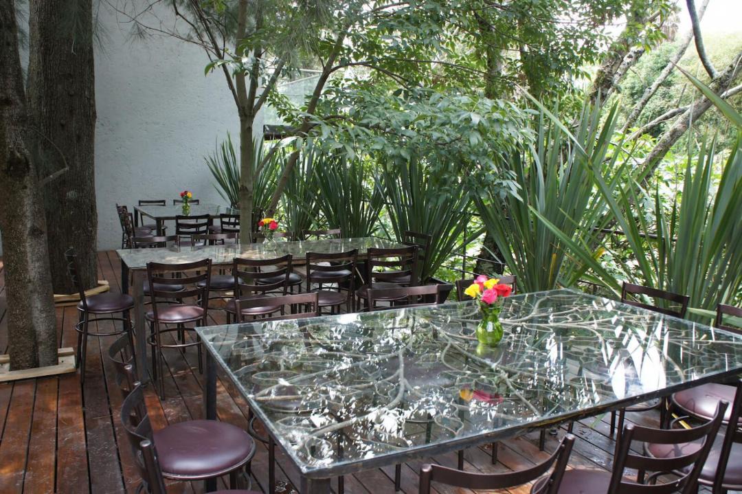 Photo of Others in San Miguel