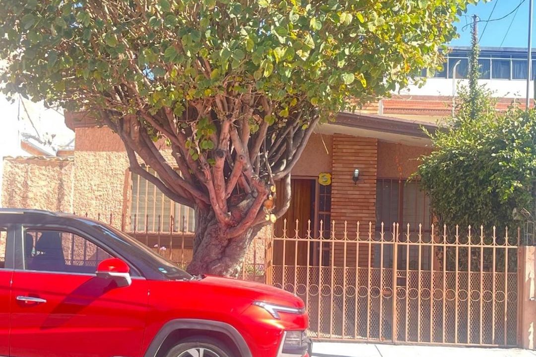 Photo of Others in Aguascalientes