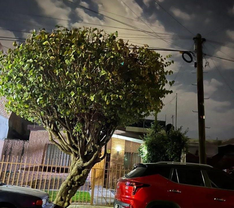 Photo of Others in Aguascalientes