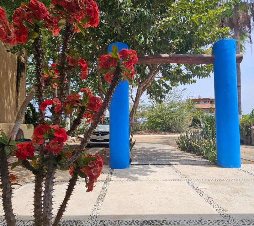 Photo of Others in Ixtapa - Zihuatanejo