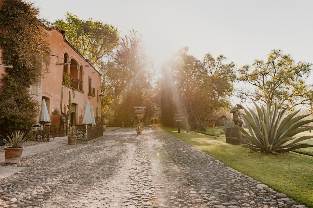 Photo of Others in Lagos de Moreno