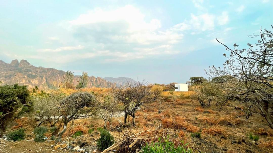 Photo of Others in Tepoztlan
