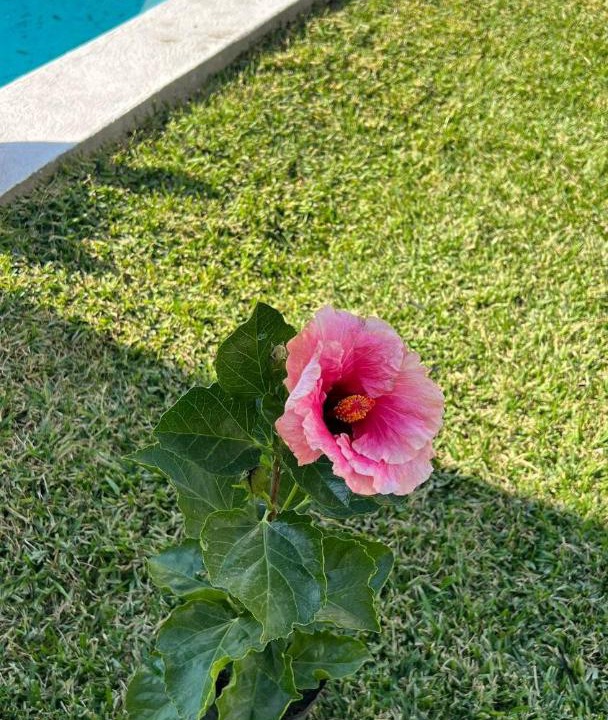 Photo of Outdoor in Oaxtepec
