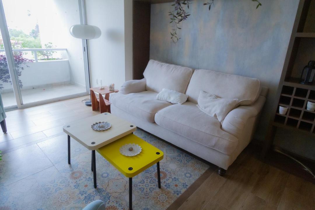 Photo of Livingroom in Roma Sur