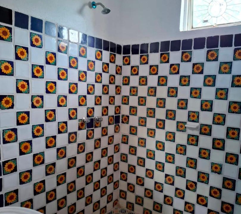 Photo of Bathroom in Dolores Hidalgo