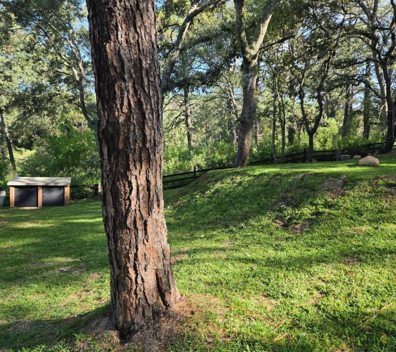 Photo of Outdoor in Tapalpa