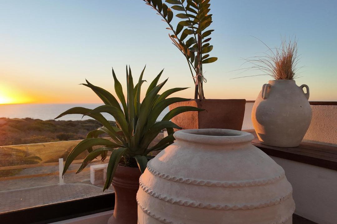 Photo of Patio Balcony in Vinorama