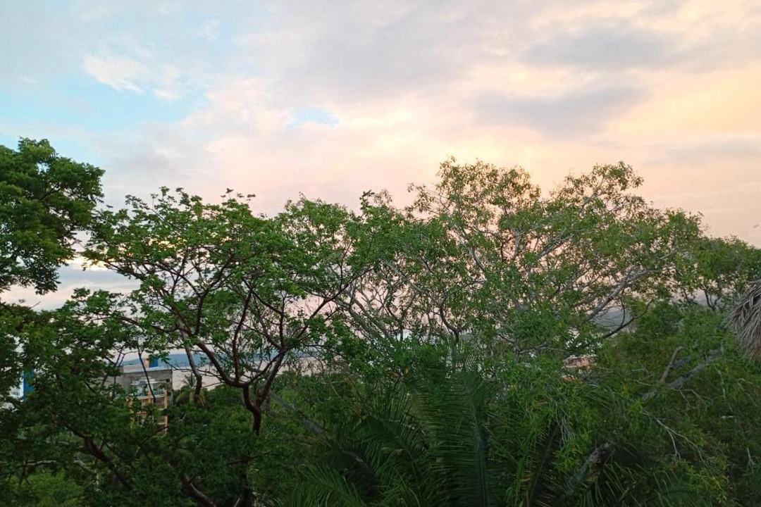 Photo of Others in Rincon de Guayabitos