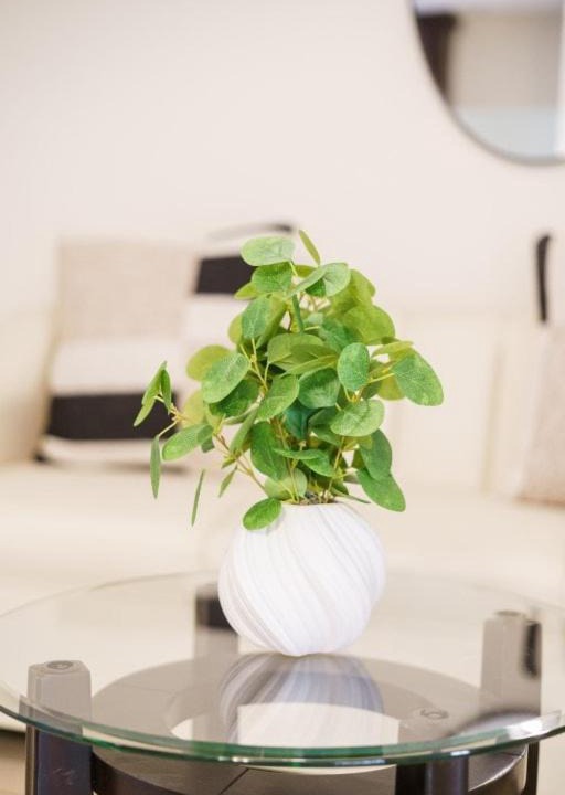 Photo of Livingroom in Hermosillo