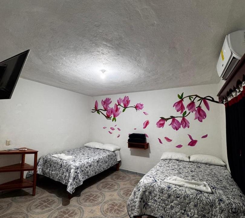 Photo of Bedroom in Xilitla