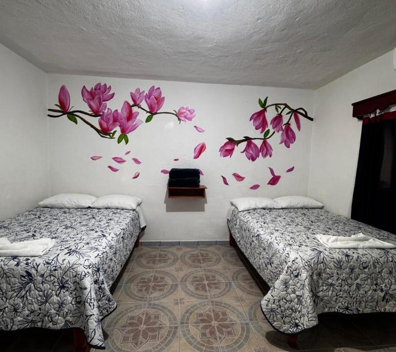 Photo of Bedroom in Xilitla